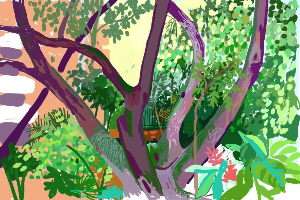 Parque conquistadores (2)